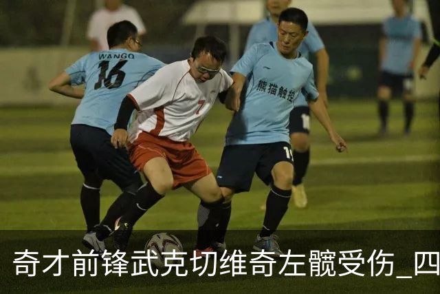 奇才前锋武克切维奇左髋受伤 四周后将接受复查